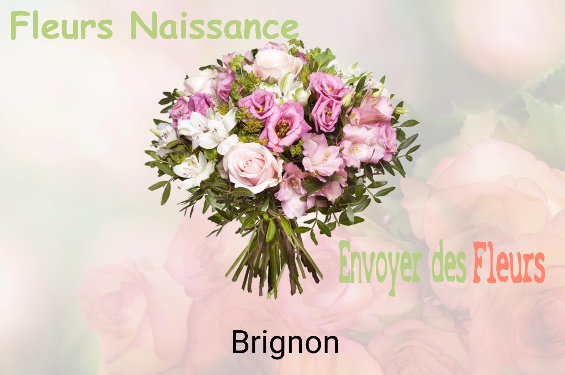 Bouquet de fleurs de naissance livré à Brignon